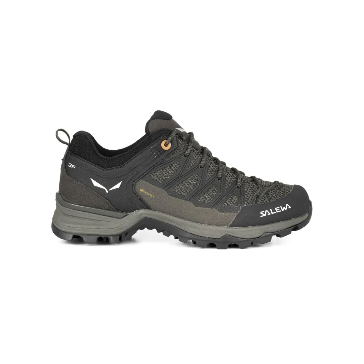 Mountain Trainer Lite GORE-TEX® Damenschuhe