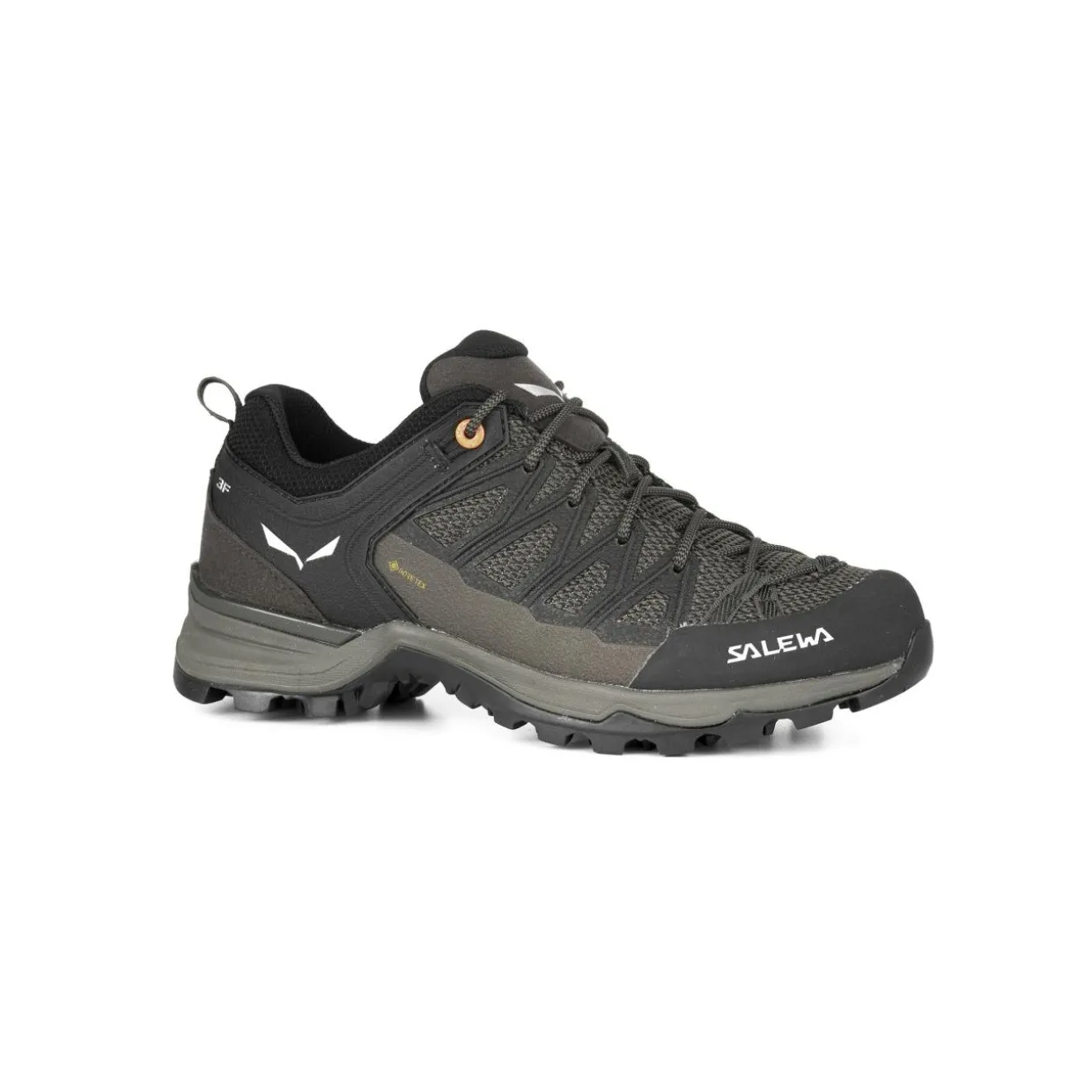 Mountain Trainer Lite GORE-TEX® Damenschuhe