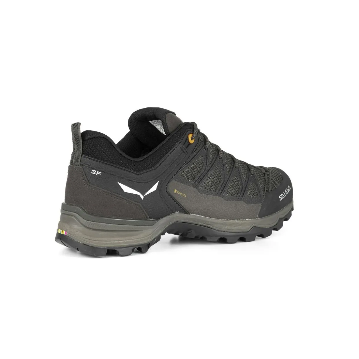 Mountain Trainer Lite GORE-TEX® Herrenschuhe