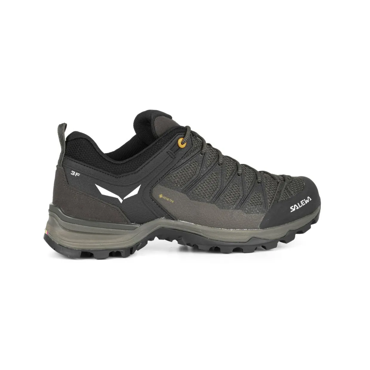 Mountain Trainer Lite GORE-TEX® Herrenschuhe