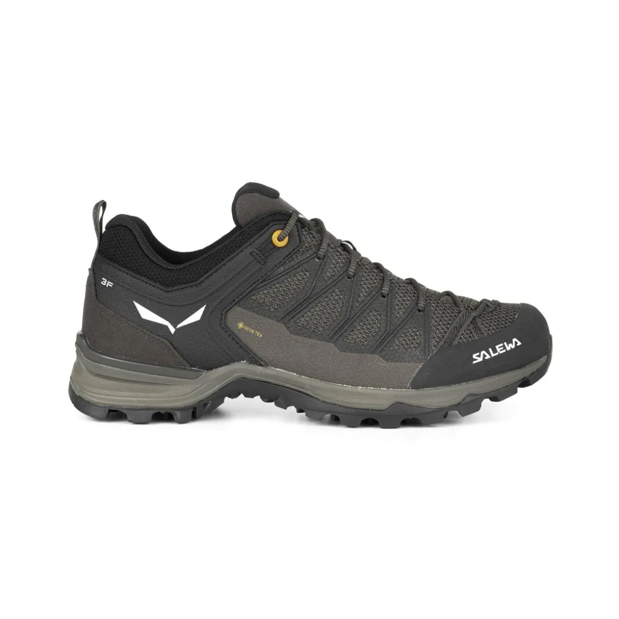 Mountain Trainer Lite GORE-TEX® Herrenschuhe