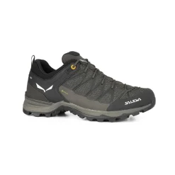 Mountain Trainer Lite GORE-TEX® Herrenschuhe