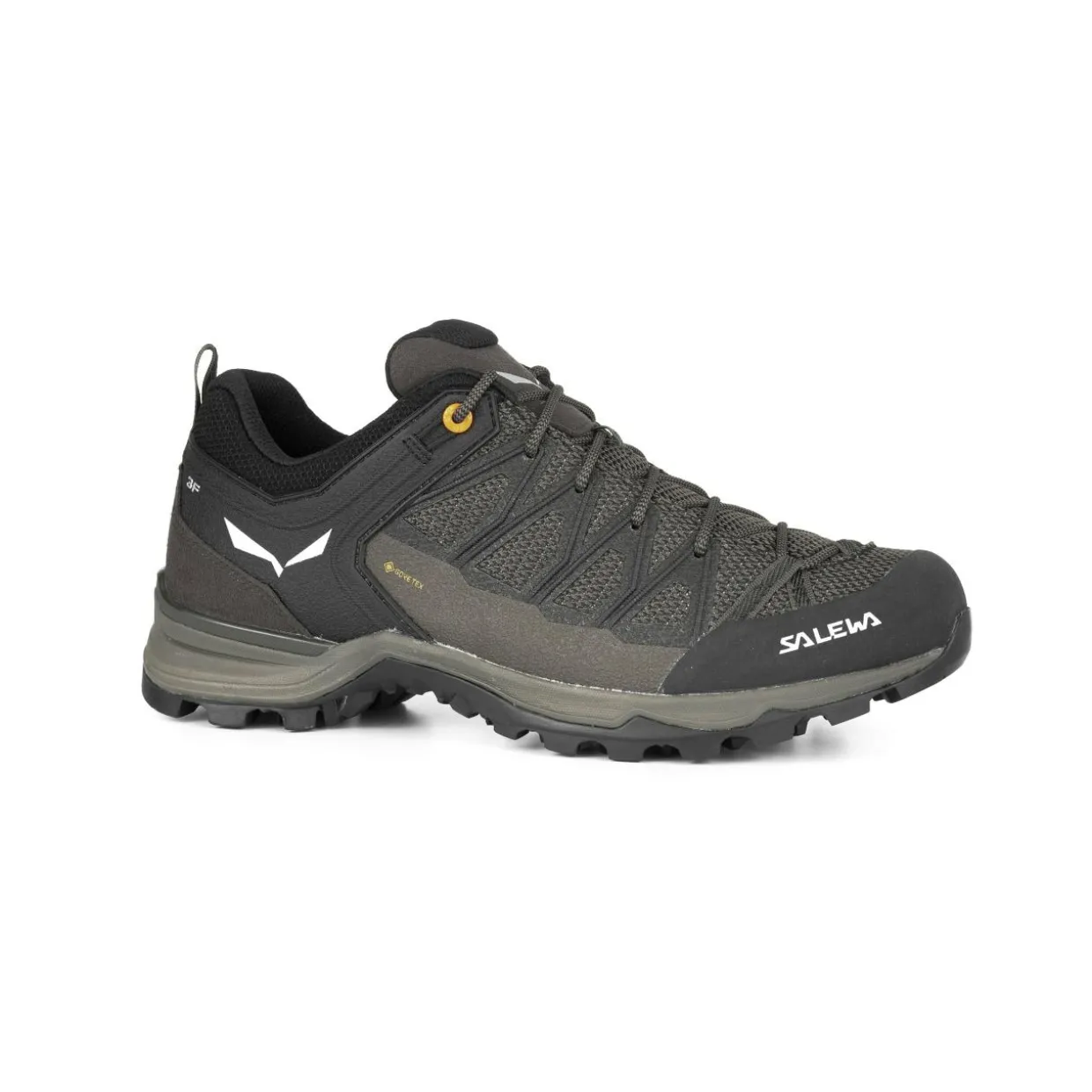 Mountain Trainer Lite GORE-TEX® Herrenschuhe