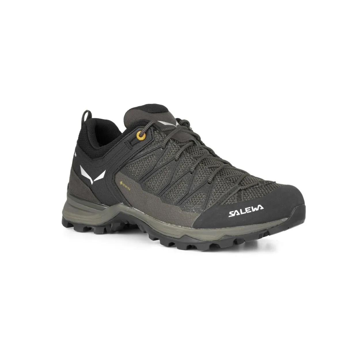 Mountain Trainer Lite GORE-TEX® Herrenschuhe