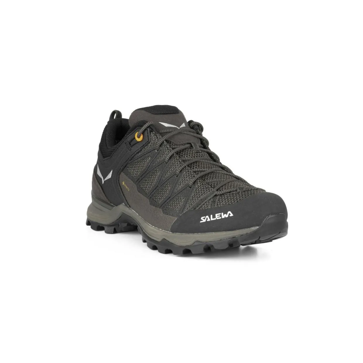 Mountain Trainer Lite GORE-TEX® Herrenschuhe