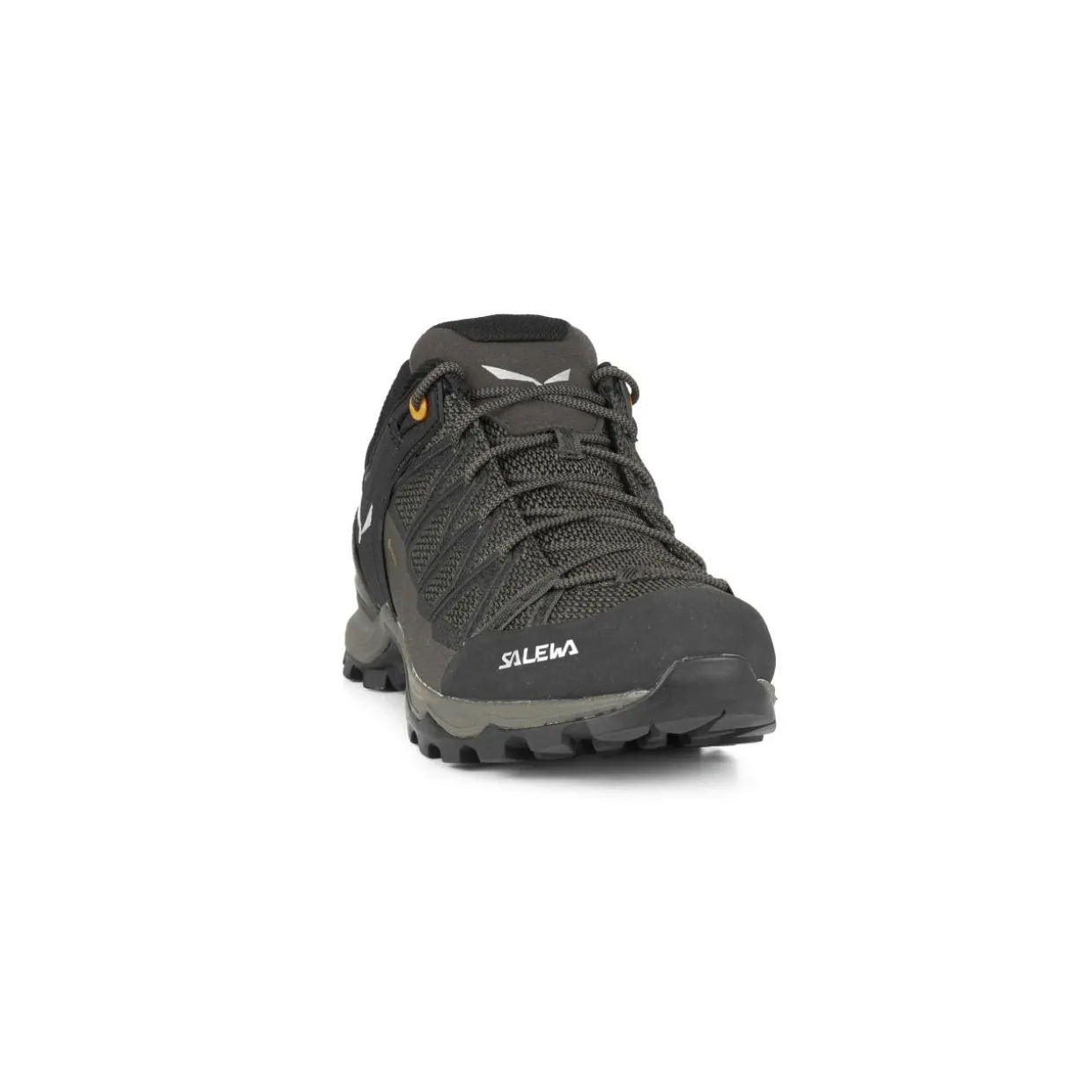 Mountain Trainer Lite GORE-TEX® Herrenschuhe