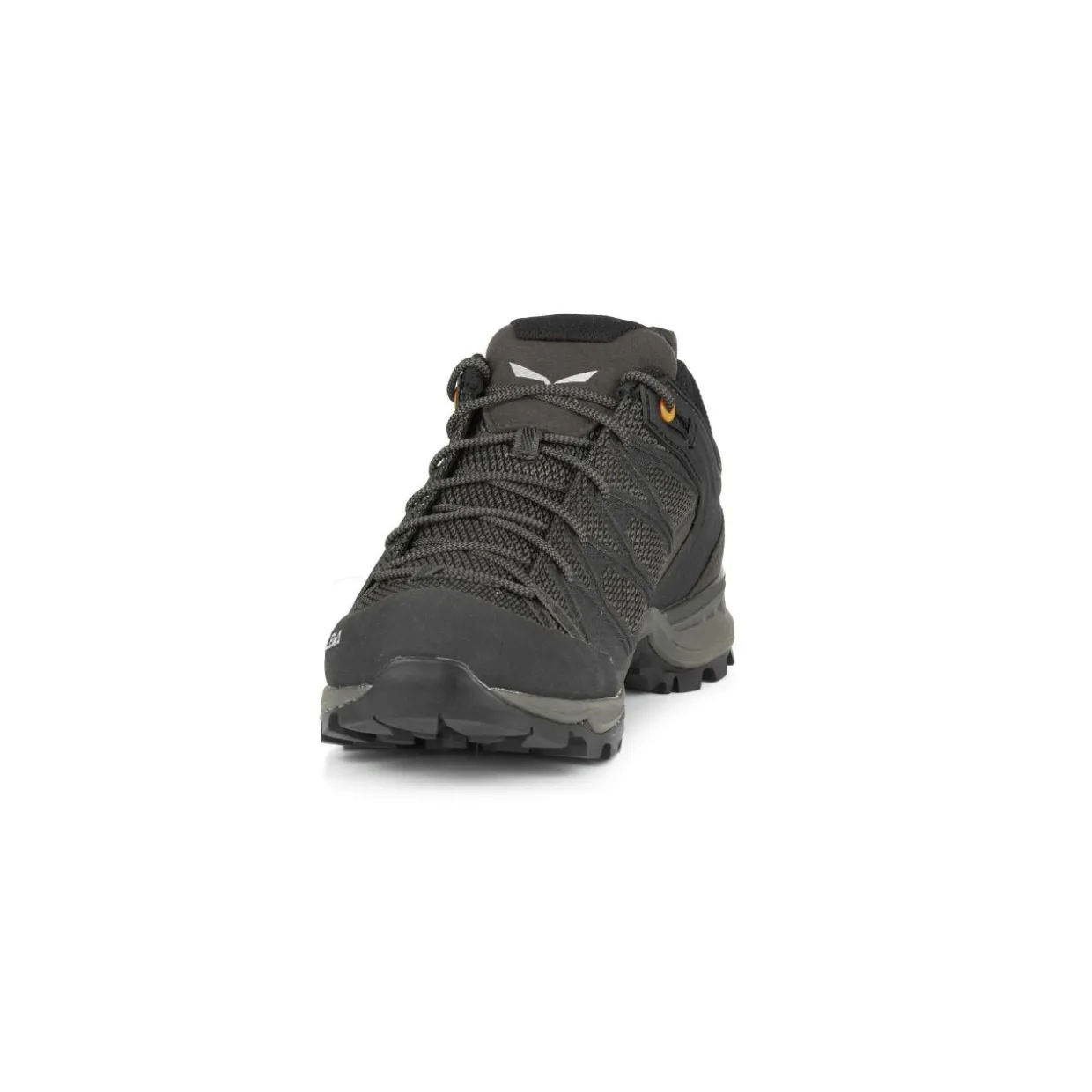 Mountain Trainer Lite GORE-TEX® Herrenschuhe