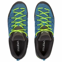 Mountain Trainer Lite Herrenschuhe