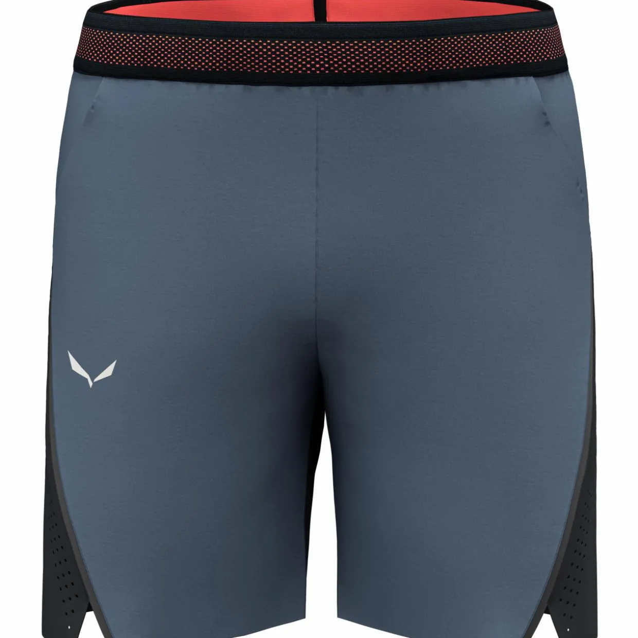 Pedroc 2 Durastretch Shorts Herren