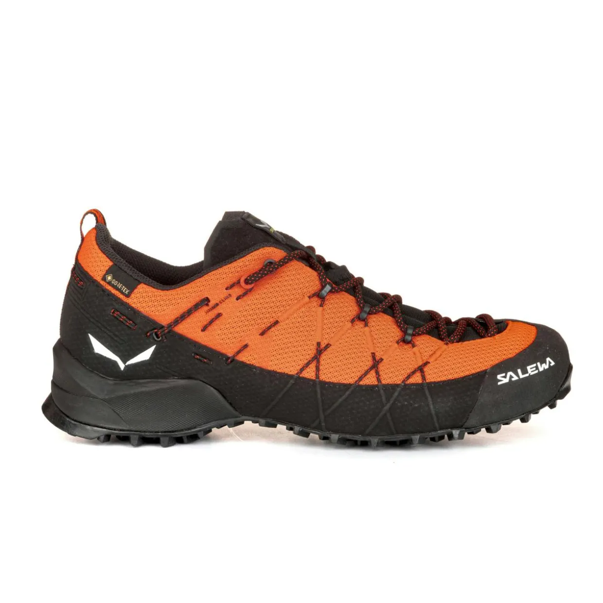 Wildfire 2 Gore-Tex® Schuh Herren