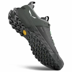 Wildfire NXT GORETEX® Schuh Herren